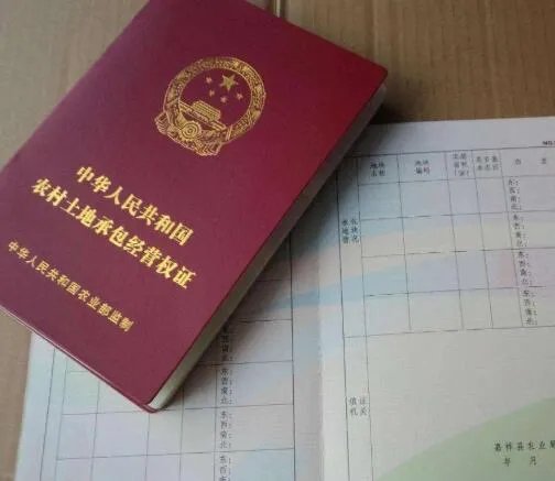 土地证号是哪个