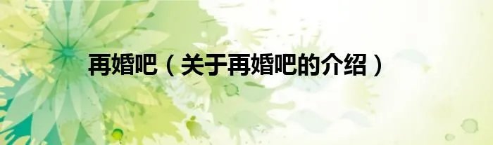 再婚吧（关于再婚吧的介绍）