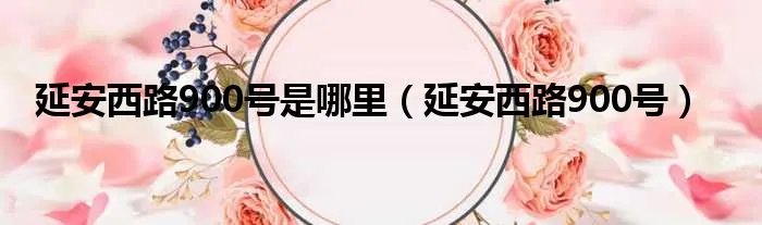 延安西路900号是哪里(延安西路900号)