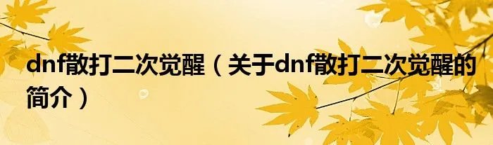 dnf散打二次觉醒（关于dnf散打二次觉醒的简介）