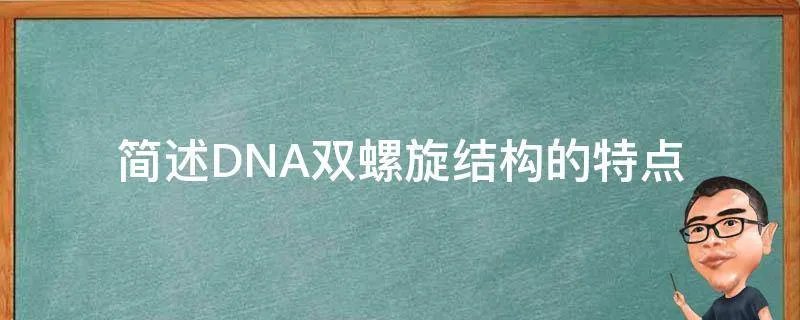 简述DNA双螺旋结构的特点