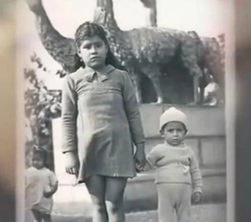 琳娜·梅迪纳怎么怀的孕:琳娜·梅迪纳怀孕的真相