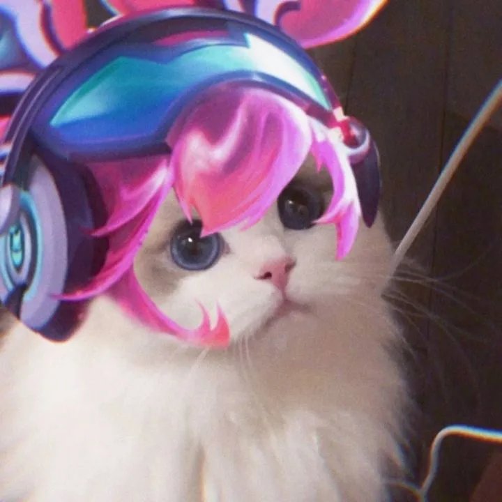 《王者荣耀》猫咪接头头像大全