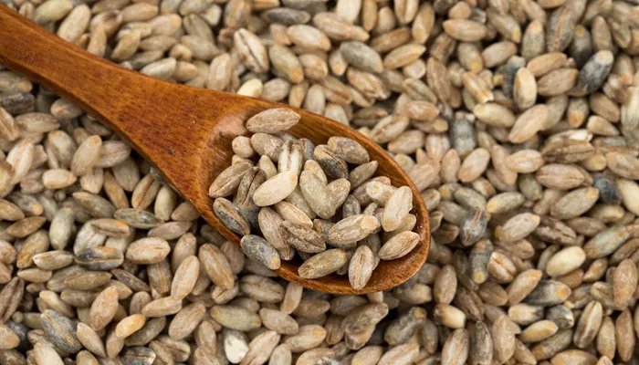 青藏高原的特产是什么