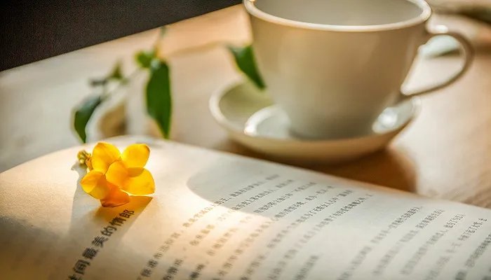 明治维新的性质是什么