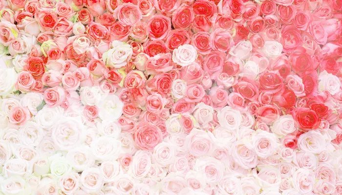 女孩子喜欢什么礼物