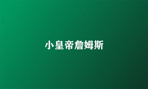 小皇帝詹姆斯