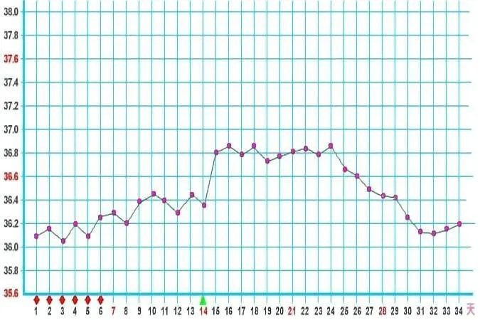 健康体温表图片