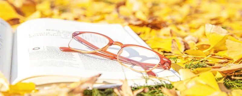 银杏树叶像什么