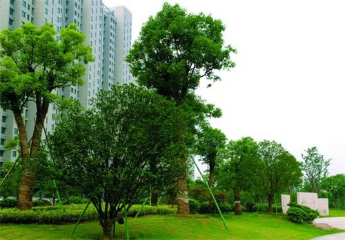 有哪些治理噪声的方法