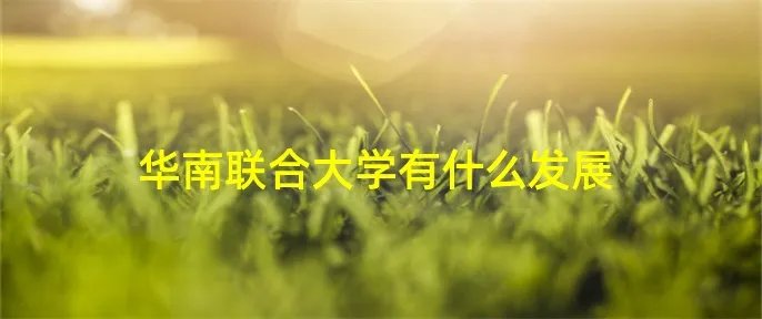 华南联合大学有什么发展