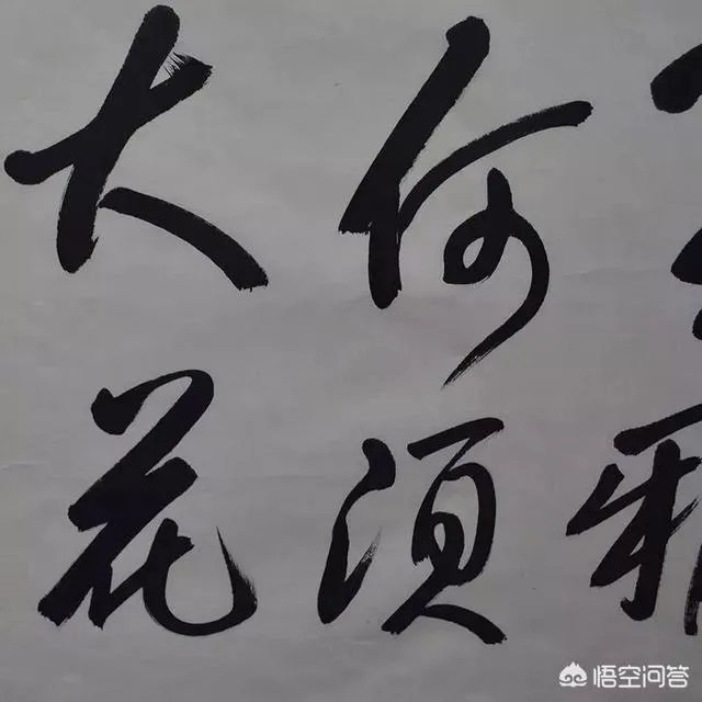 怎样评价董卿的书法作品？