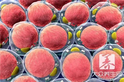 中老年营养品有哪些