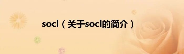 socl(关于socl的简介)