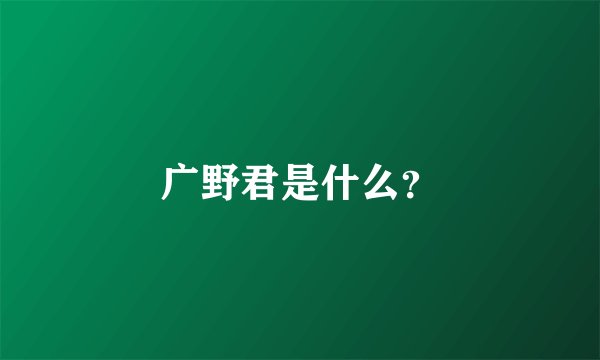 广野君是什么？