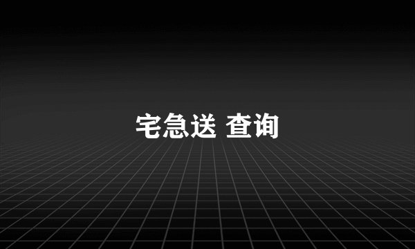 宅急送 查询