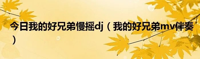 今日我的好兄弟慢摇dj（我的好兄弟mv伴奏）