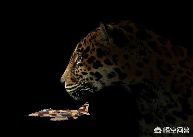 美洲虎战斗机有哪些不俗的表现？