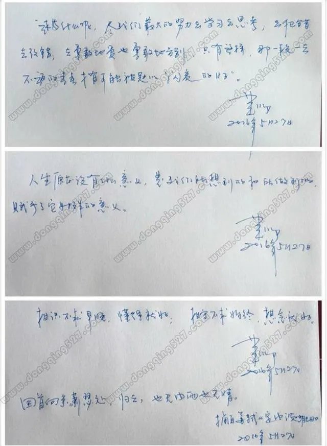 怎样评价董卿的书法作品？