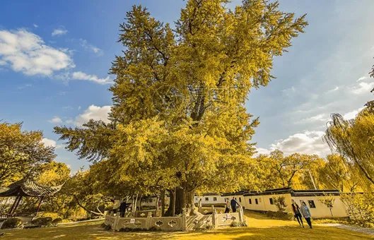 山行表达了诗人怎样的思想感情