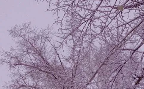 冬日里的阳光作文