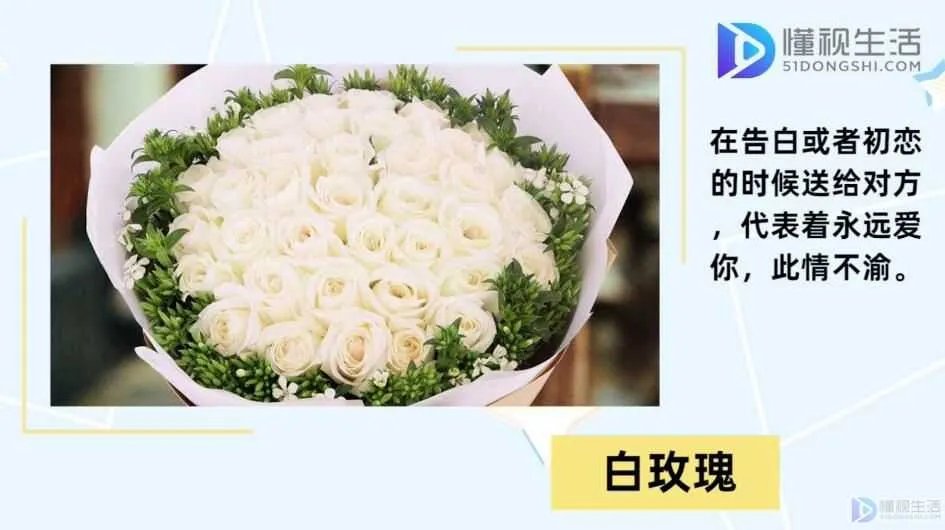 20朵玫瑰代表什么