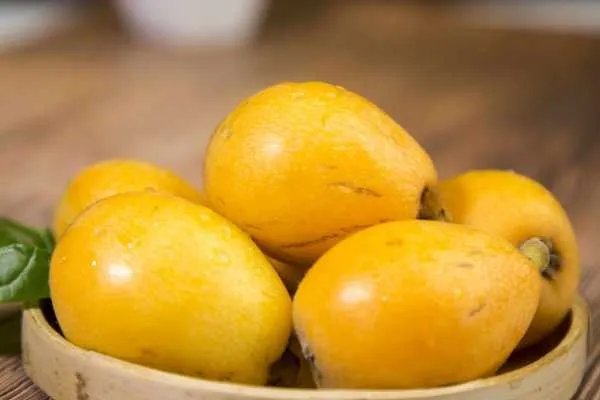 吃枇杷的禁忌有哪些