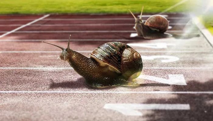 付出与收获的正能量句子 有付出就有收获的经典语录