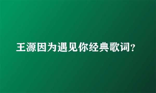 王源因为遇见你经典歌词？