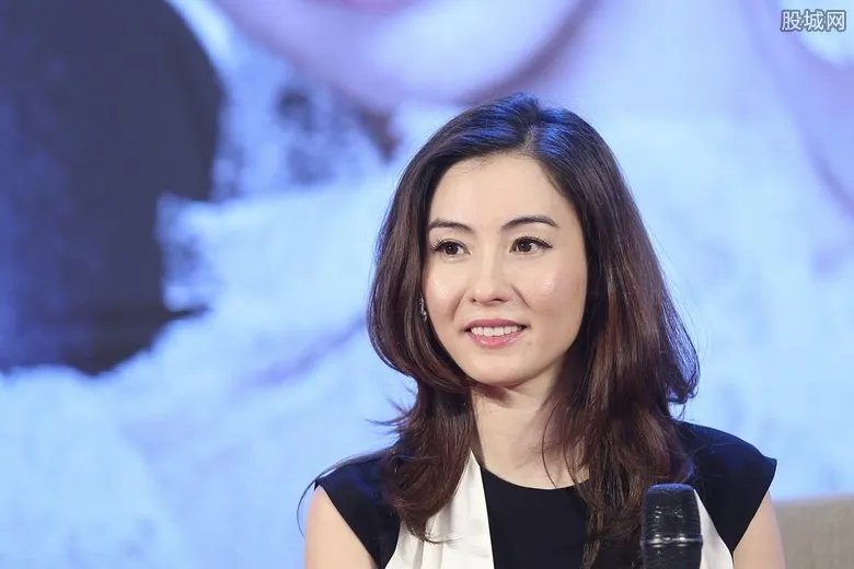 孙东海简历 房地产老板孙东海和张柏芝什么关系