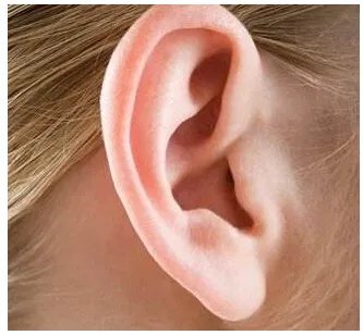 耳垂整形的适应症有哪些