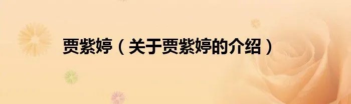 贾紫婷（关于贾紫婷的介绍）