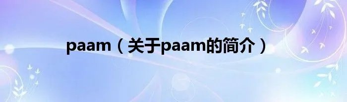 paam（关于paam的简介）
