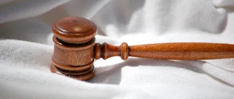 林权制度改革政策内容有什么