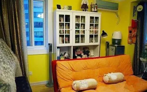 一室一厅装修效果图欣赏 真是大开眼界