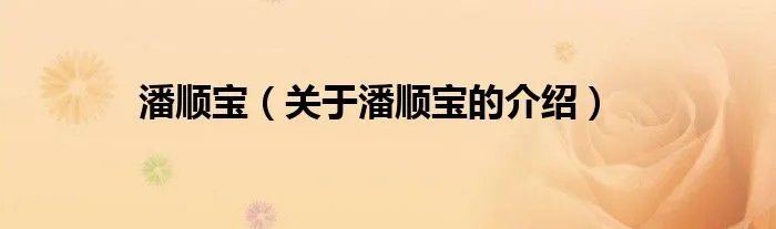 潘顺宝（关于潘顺宝的介绍）