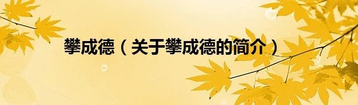 攀成德(关于攀成德的简介)