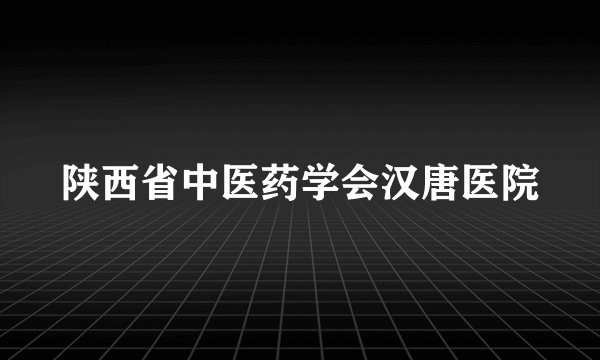 陕西省中医药学会汉唐医院
