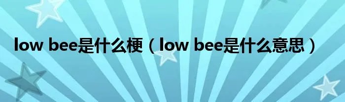 low bee是什么梗(low bee是什么意思)