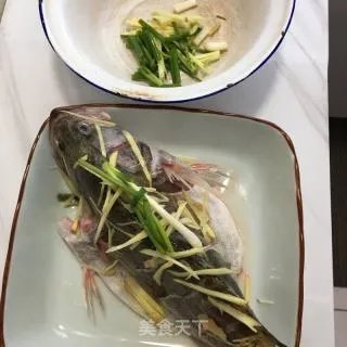 清蒸鲑鱼