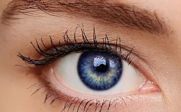 定位双眼皮多少钱啊