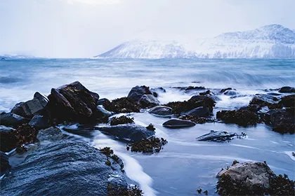 四伏天是什么意思 今年是三伏还是四伏