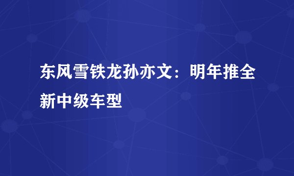 东风雪铁龙孙亦文：明年推全新中级车型