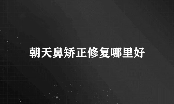 朝天鼻矫正修复哪里好