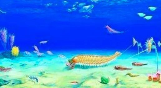 中国学者发现5亿年前四不像动物，究竟是什么生物这么神奇？
