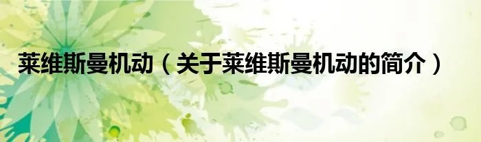 莱维斯曼机动（关于莱维斯曼机动的简介）