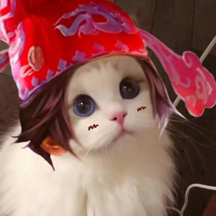 《王者荣耀》猫咪接头头像大全