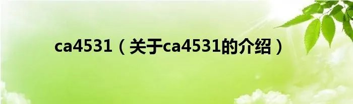ca4531（关于ca4531的介绍）