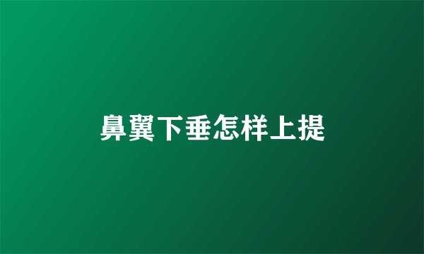 鼻翼下垂怎样上提