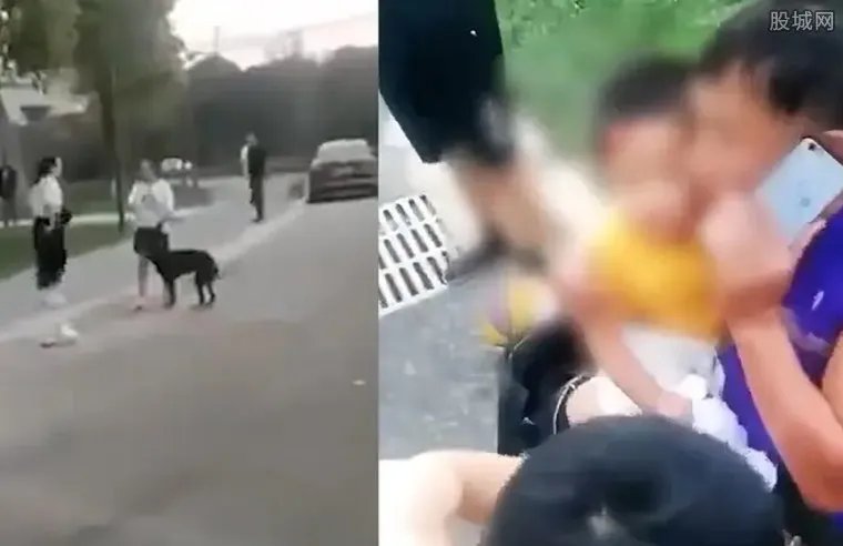 3岁男童路遇烈犬挣脱狗绳撕咬 儿童腿上满是鲜血